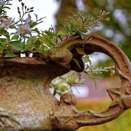 مبيت وإفطار Zweeloo Oes-Tilber المظهر الخارجي الصورة